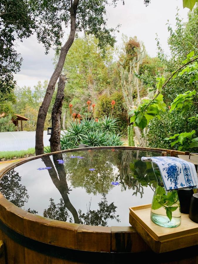 Kuralemu Casa De Campo Curacavi エクステリア 写真